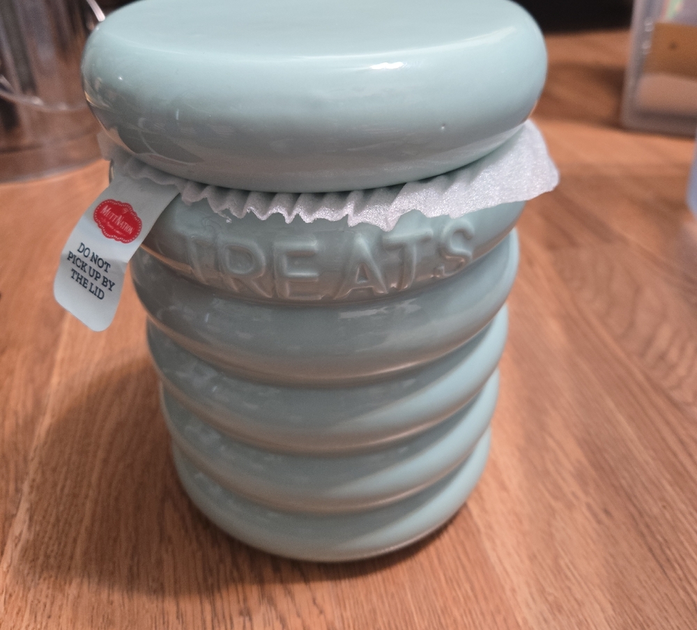 Home Essentials Seafoam/light Green Treats Jar